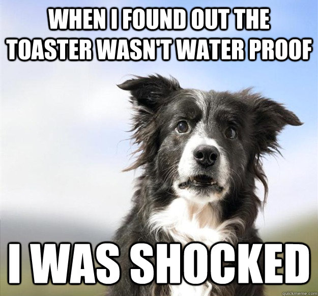 When I found out the toaster wasn't water proof I was shocked - When I found out the toaster wasn't water proof I was shocked  Misc