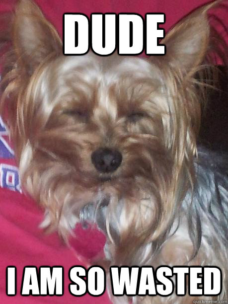 Dude I am so Wasted - Dude I am so Wasted  stoned