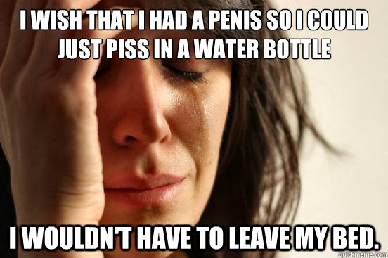 i wish that i had a penis so i could just piss in a water bottle i wouldn't have to leave my bed.  First World Problems