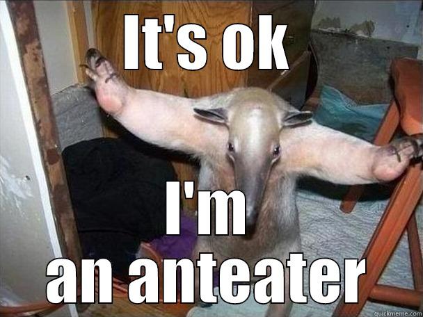 it's ok - IT'S OK I'M AN ANTEATER I got this