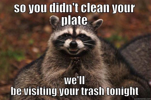 SO YOU DIDN'T CLEAN YOUR PLATE WE'LL BE VISITING YOUR TRASH TONIGHT Evil Plotting Raccoon