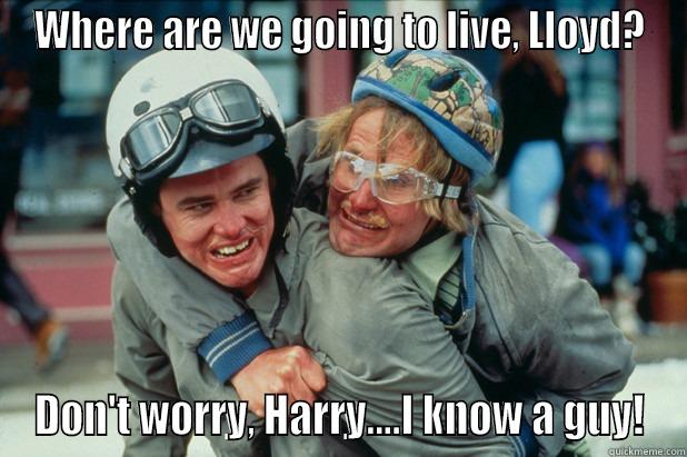 WHERE ARE WE GOING TO LIVE, LLOYD? DON'T WORRY, HARRY....I KNOW A GUY! Misc