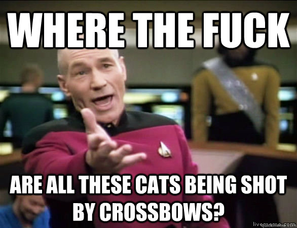Where the fuck Are all these cats being shot by crossbows?  Annoyed Picard HD