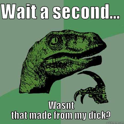 WAIT A SECOND...  WASNT THAT MADE FROM MY DICK? Philosoraptor