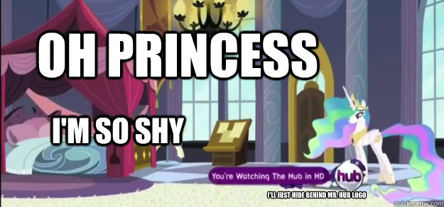 Oh princess I'm so shy I'll just hide behind mr. hub logo  