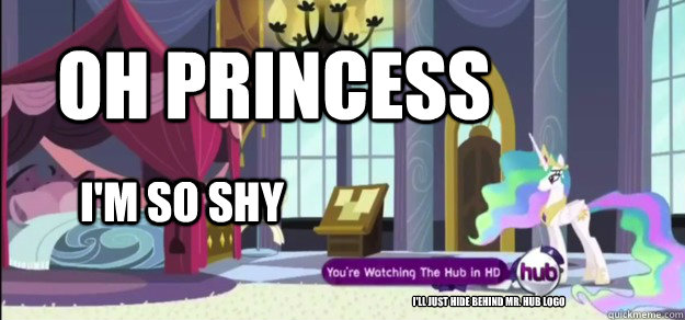Oh princess I'm so shy I'll just hide behind mr. hub logo  