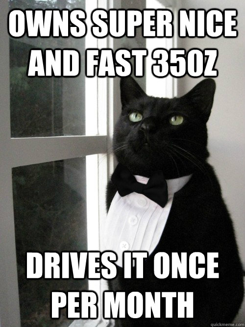 Owns super nice and fast 350Z Drives it once per month  One Percent Cat