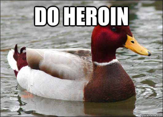 Do heroin   Malicious Advice Mallard