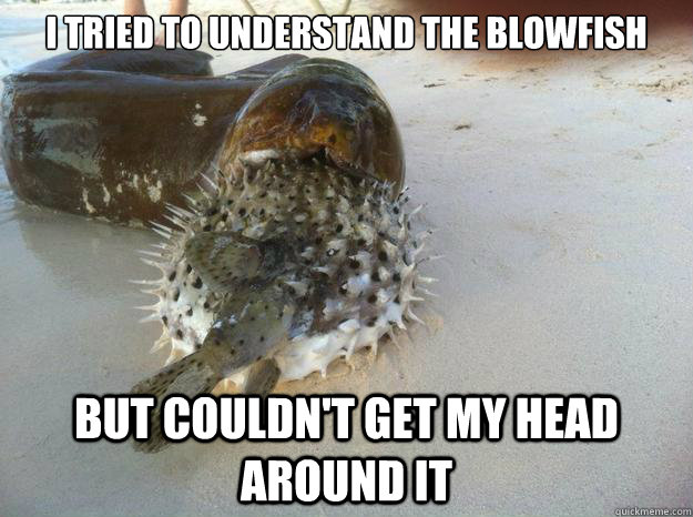 I tried to understand the blowfish But couldn't get my head around it  Dead Joke Eel