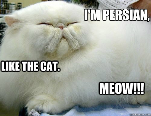 i'm persian,
 like the cat. MEOW!!!  