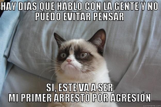 HAY DIAS QUE HABLO CON LA GENTE Y NO PUEDO EVITAR PENSAR SI, ESTE VA A SER MI PRIMER ARRESTO POR AGRESIÓN Grumpy Cat