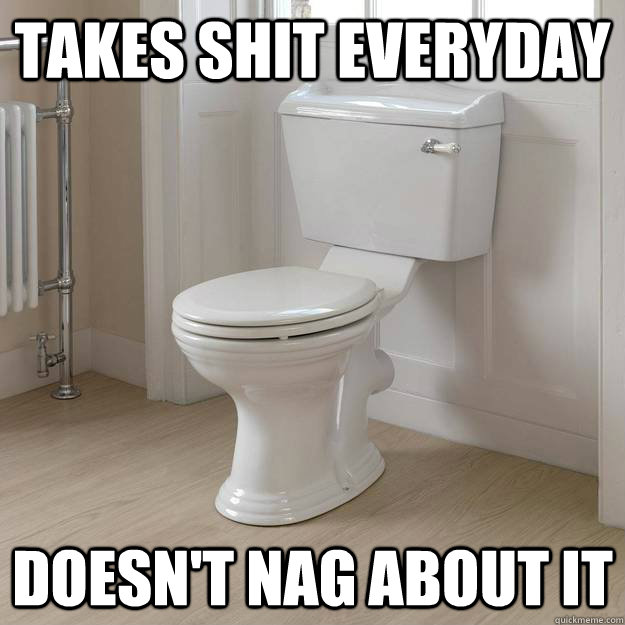 Takes shit everyday Doesn't nag about it - Takes shit everyday Doesn't nag about it  Good Guy Toilet