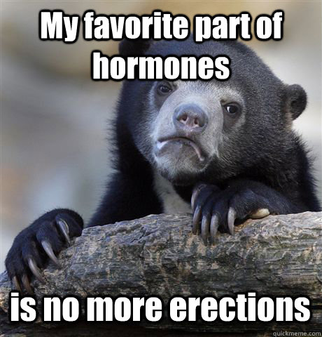 My favorite part of hormones is no more erections - My favorite part of hormones is no more erections  Confession Bear