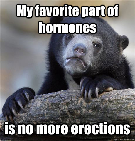 My favorite part of hormones is no more erections  Confession Bear