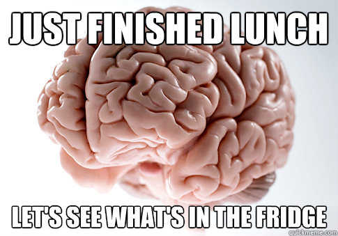 Just finished lunch Let's see what's in the fridge  Scumbag Brain