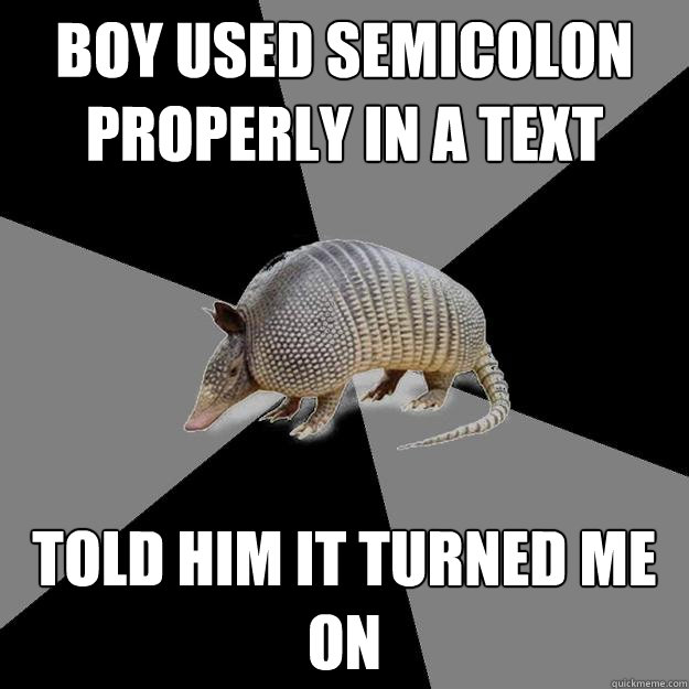 boy used semicolon properly in a text told him it turned me on - boy used semicolon properly in a text told him it turned me on  English Major Armadillo