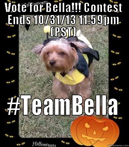 VOTE FOR BELLA!!! CONTEST ENDS 10/31/13 11:59PM (PST) #TEAMBELLA Misc