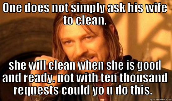 ONE DOES NOT SIMPLY ASK HIS WIFE TO CLEAN. SHE WILL CLEAN WHEN SHE IS GOOD AND READY. NOT WITH TEN THOUSAND REQUESTS COULD YO U DO THIS.   Boromir