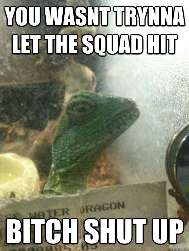 you wasnt trynna let the squad hit bitch shut up  Leery Lizard