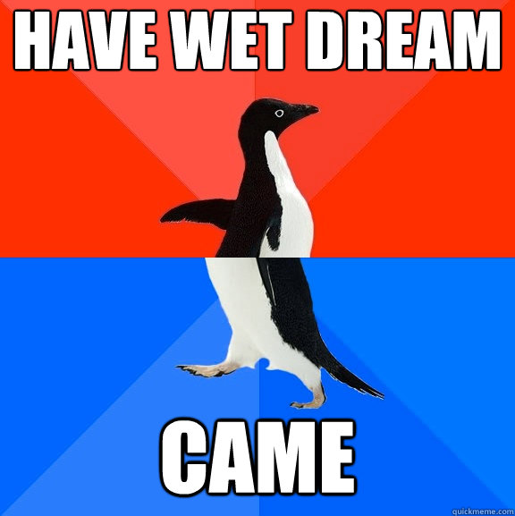 Have wet dream came  Socially Awesome Awkward Penguin