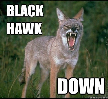     BLACK
    HAWK DOWN  YELLING YOTES FAN COYOTE