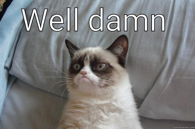 WELL DAMN  Grumpy Cat