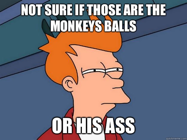 Not sure if those are the monkeys balls Or his ass  Skeptical fry