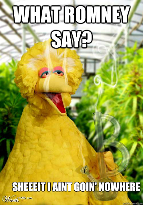 What Romney Say? Sheeeit I aint goin' nowhere - What Romney Say? Sheeeit I aint goin' nowhere  High Big Bird