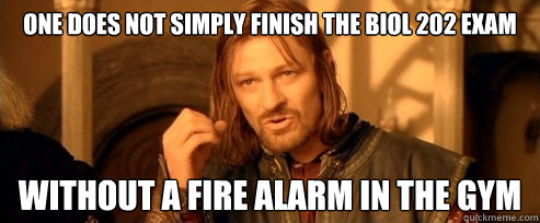 One does not simply finish the BIOL 202 exam  without a fire alarm in the gym   One Does Not Simply