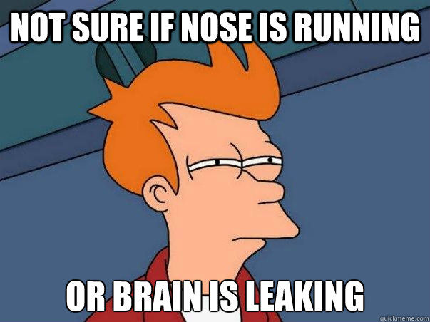 Not sure if nose is running or brain is leaking  Not sure Fry