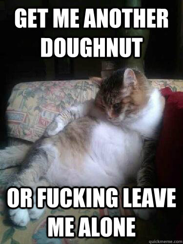 Get me another doughnut Or fucking leave me alone  Fat Cat