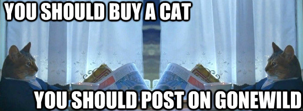 you should buy a cat you should post on Gonewild  Sophisticated cat Conversation