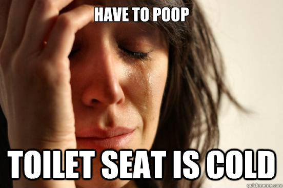 Have to poop Toilet Seat is cold  First World Problems