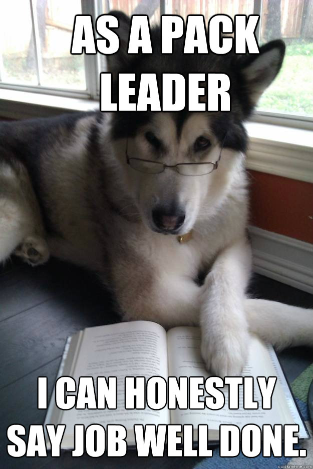 As a pack leader I can honestly say job well done.  Condescending Literary Pun Dog