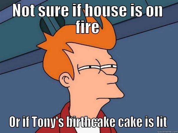 NOT SURE IF HOUSE IS ON FIRE OR IF TONY'S BIRTHCAKE CAKE IS LIT Futurama Fry