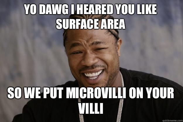 YO DAWG I HEARED YOU LIKE SURFACE AREA So we put microvilli on your villi  Xzibit meme
