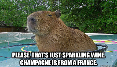 Please, that's just sparkling wine. Champagne is from a france. - Please, that's just sparkling wine. Champagne is from a france.  Pretentious Capybara