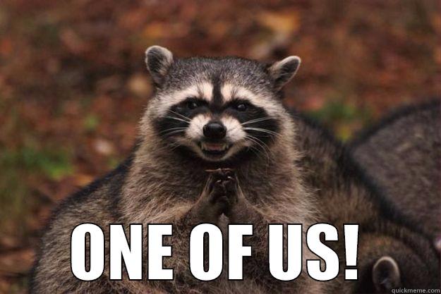 One of us -  ONE OF US! Evil Plotting Raccoon
