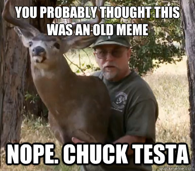You probably thought this was an old meme nope. chuck testa - You probably thought this was an old meme nope. chuck testa  Chuck Testa