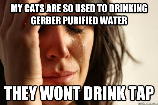 my cats are so used to drinking gerber purified water they wont drink tap  First World Problems