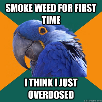 smoke weed for first time  i think i just overdosed  Paranoid Parrot