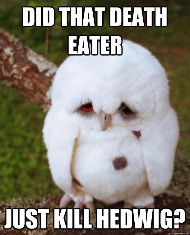 Did that death eater just kill hedwig? - Did that death eater just kill hedwig?  Misc