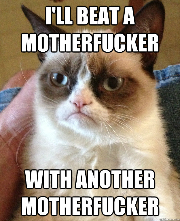 i'll beat a motherfucker with another motherfucker - i'll beat a motherfucker with another motherfucker  Grumpy Cat