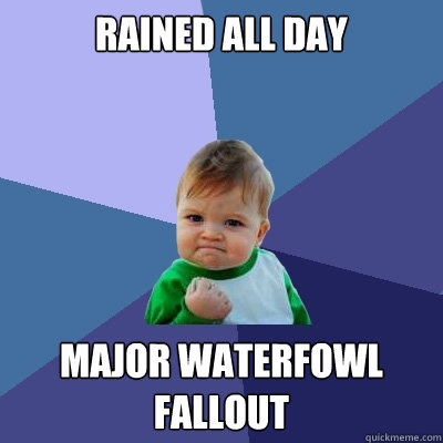 rained all day major waterfowl fallout  Success Kid