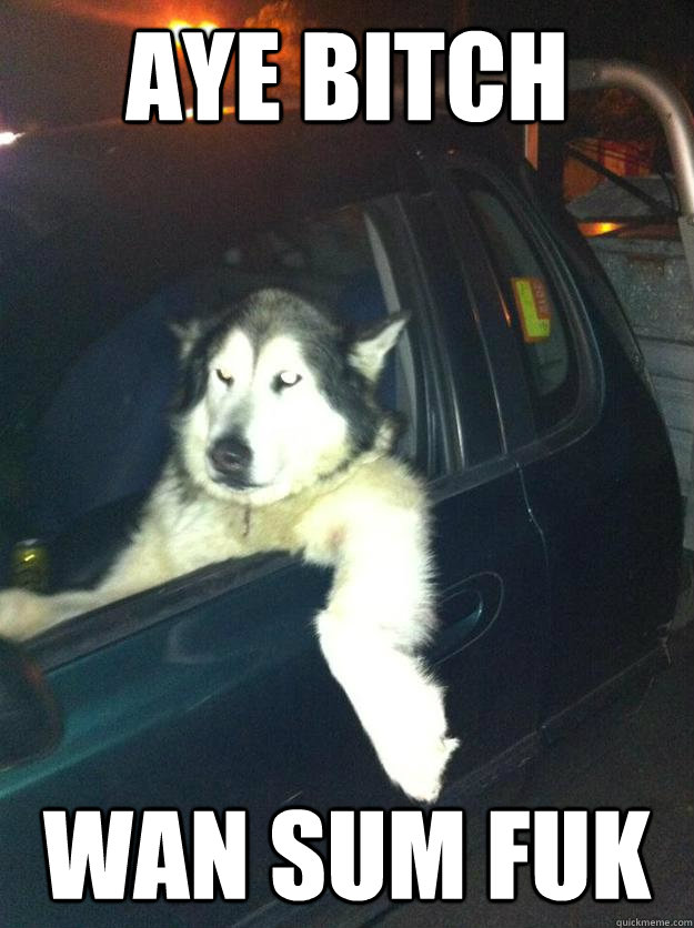 Aye bitch wan sum fuk  Mean Dog