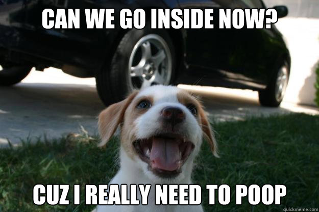 Can we go inside now? Cuz I really need to poop  Dog Poop