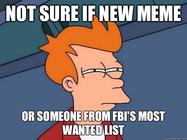 NOT SURE IF NEW MEME OR SOMEONE FROM FBI'S MOST WANTED LIST  Futurama Fry