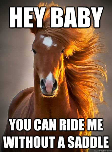 hey baby you can ride me without a saddle  Ridiculously Photogenic Horse