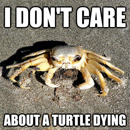 I don't care  About a turtle dying  Confession Crab