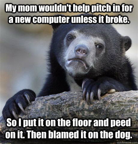 My mom wouldn't help pitch in for a new computer unless it broke. So I put it on the floor and peed on it. Then blamed it on the dog.  Confession Bear